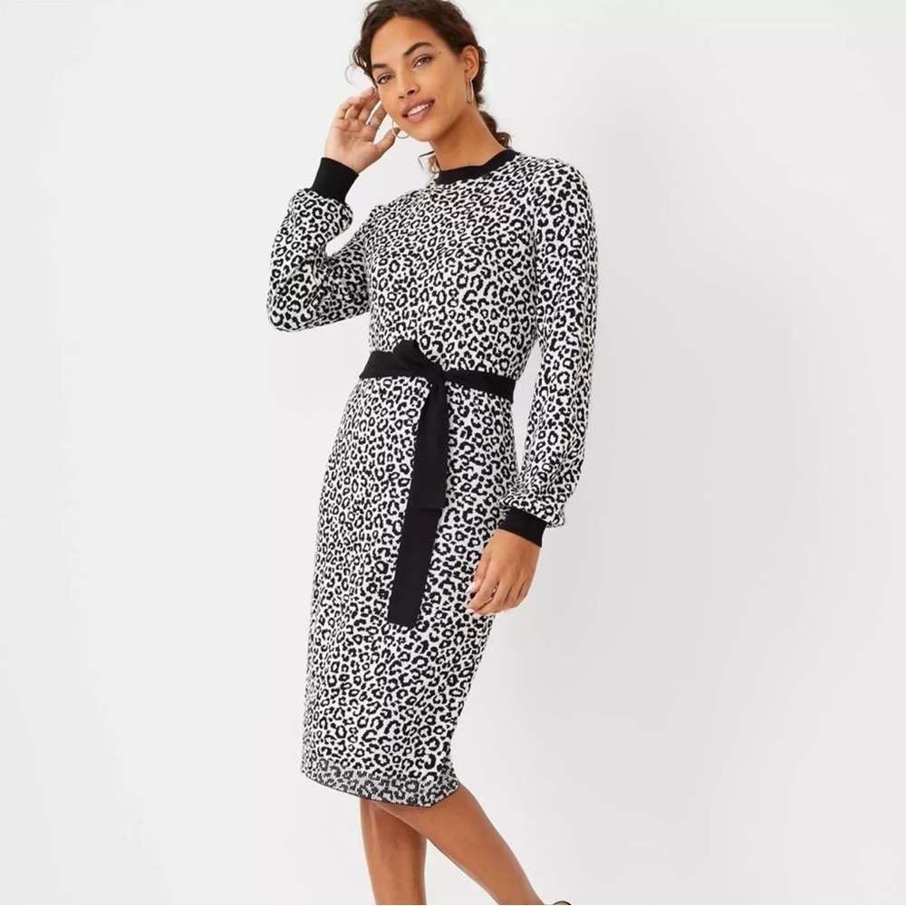 NWT XXSP Ann Taylor Cheetah Sweater Dress